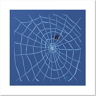 Spider Web-wet Posters and Art